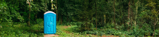 绿色夏日森林中的化学厕所小屋图片下载