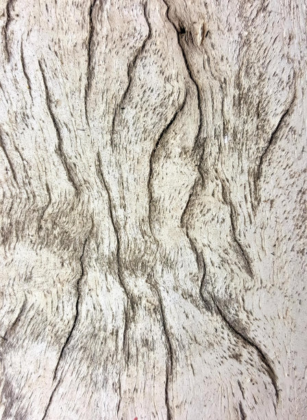 一张带有红色物体的一块木头的照片，有一张带有红色物体的一块木头的特写。图片下载