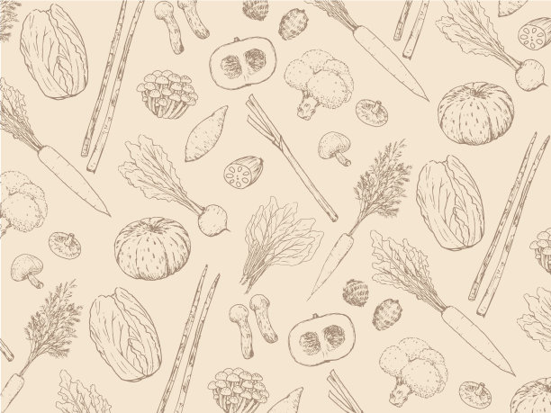 矢量插图秋冬蔬菜图案由笔绘制图片下载