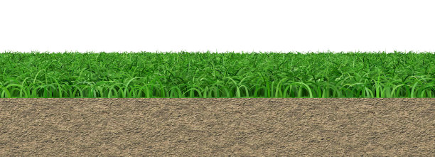 抽象的绿草和自然背景图像。, 3 d渲染图片下载