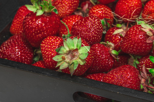 草莓的背景。成熟的新鲜水果，时令作物。健康的超级食物，维生素图片下载
