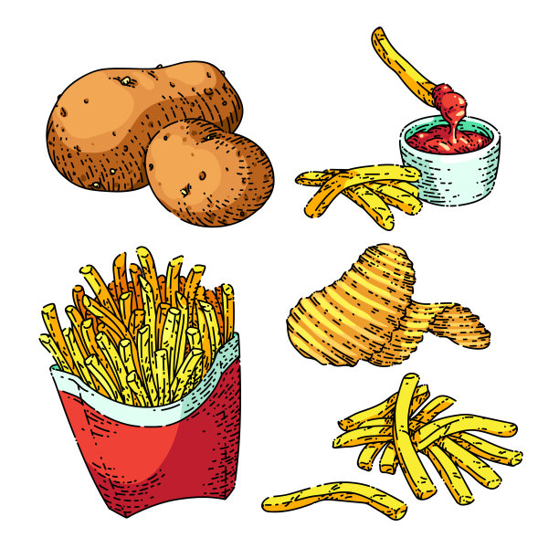 土豆食物设定素描手绘矢量图片下载