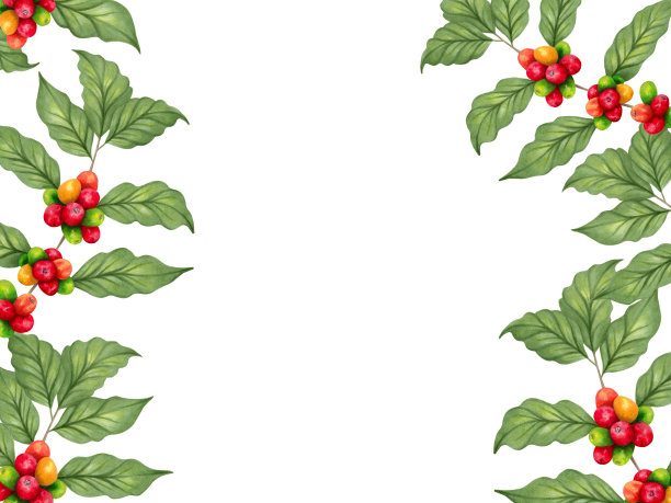 框架的红色阿拉比卡咖啡豆在一个分支与浆果。国际咖啡日。完美的食物菜单，咖啡厅概念，餐厅元素，食谱书。图片下载