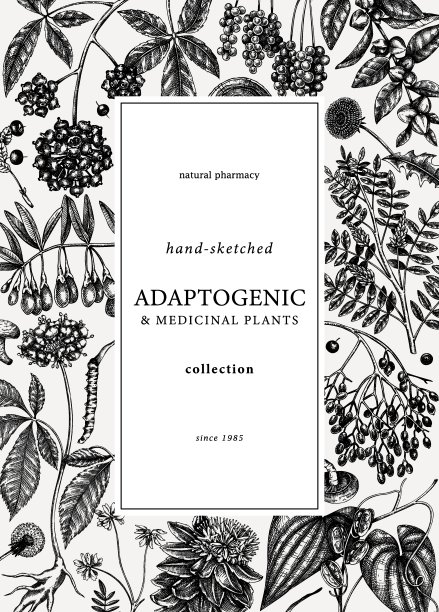 适应性植物卡片设计图片下载