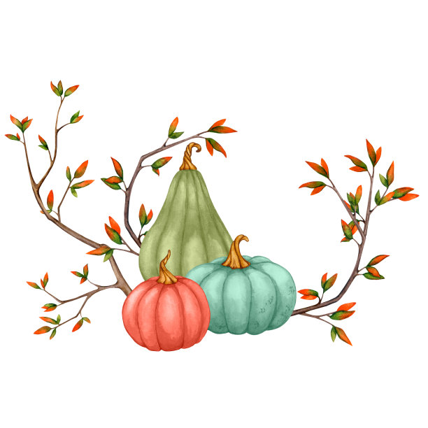 秋天的南瓜图案和带叶子的眼睑。水彩插图卡片，邀请，海报，文具。剪贴画为万圣节，感恩节，丰收的节日，秋天的设计元素，秋天的组成。图片下载