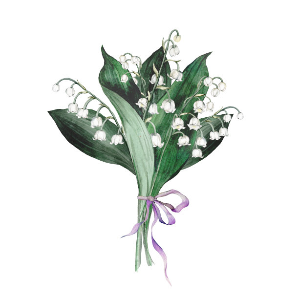 水彩插花与白色花束精致的春天的山谷百合。设计印刷明信片、婚礼请柬、生日请柬、春暑假请柬图片下载