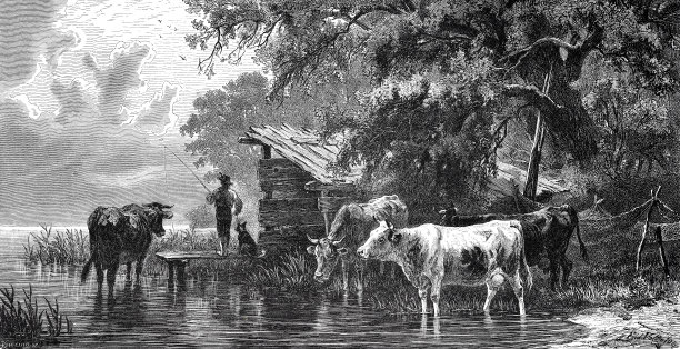 在斯塔恩伯格湖，奶牛和渔夫在湖边图片下载