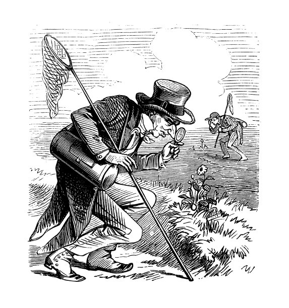 草地上用放大镜捕蝶的人图片下载