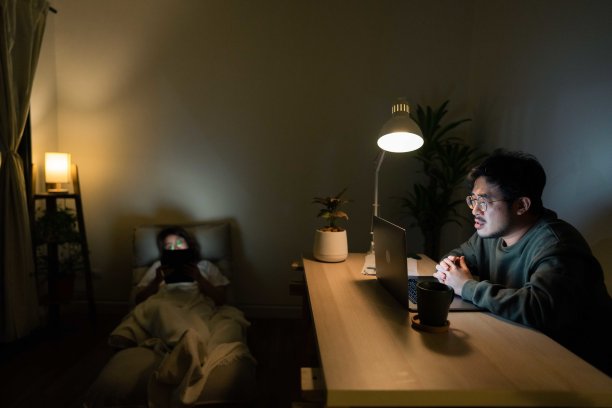 夫妻俩坐在客厅里查看他们的财务状况。图片下载