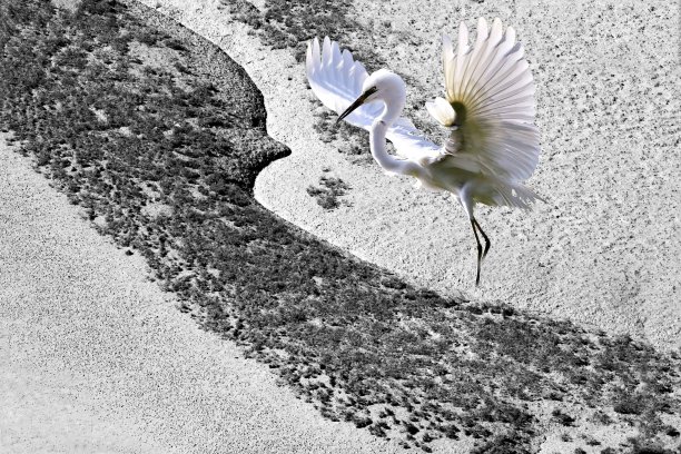 有创意的照片。图片下载