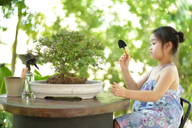 小女孩在后花园的一个新花盆里集中精力重新种植盆景树，周末呆在家里的活跃生活方式图片下载