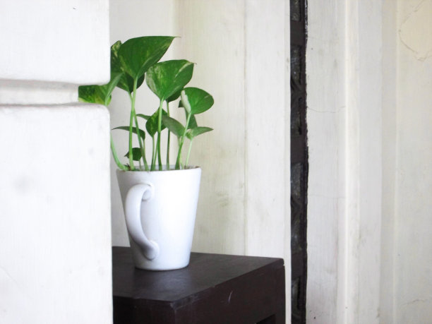 升级改造的杯子图片下载