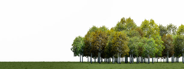 3D渲染现实常绿树木和草地在自然界，树木在花园的春天，热带森林孤立的白色背景图片下载