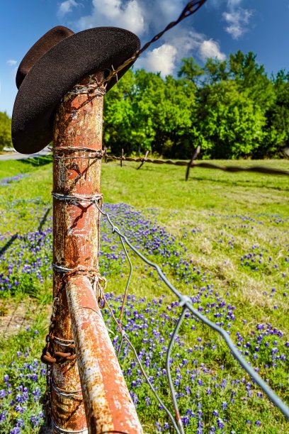 牛仔帽挂在篱笆柱和德克萨斯矢车菊，羽扇豆，景观，垂直图片下载