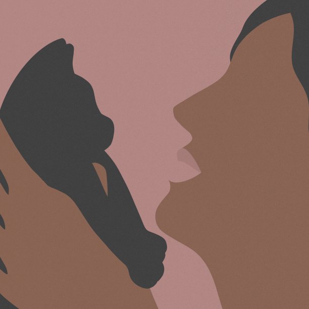 采用猫的概念图片下载