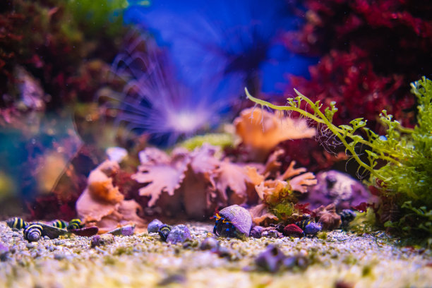 海底的有限空间图片下载