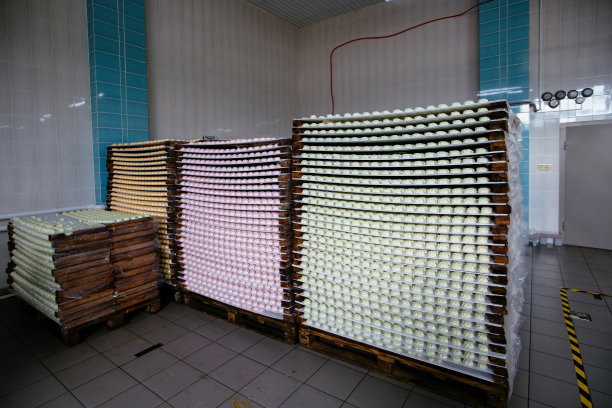 半成品西风车在糖果厂的托盘上干燥和冷却图片下载