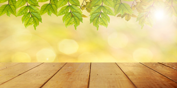 木桌上的背景。空的空间来放置背景上的东西。模糊。春天的绿叶和阳光的散景。空间概念为文字和装饰，广告。图片下载