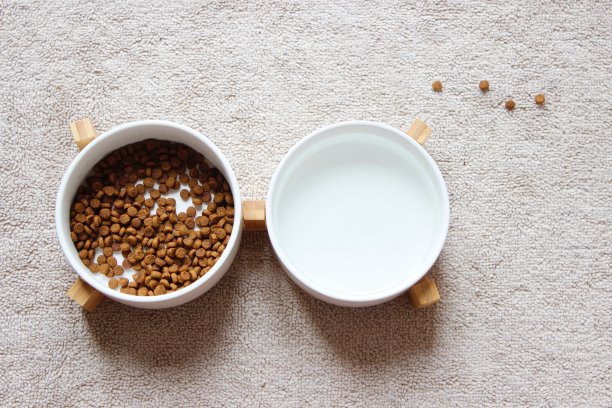 狗粮和水碗。图片下载