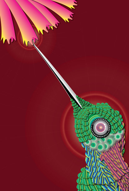 蜂鸟从花中吸取花蜜图片下载