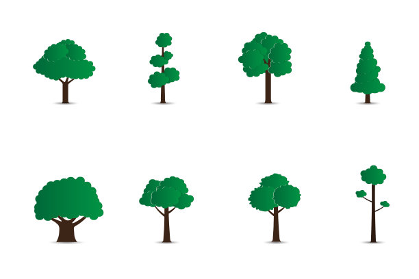 设置树孤立在白色背景图片下载