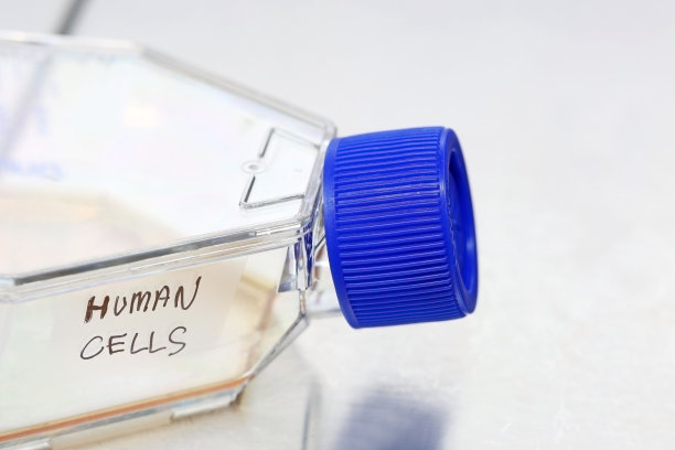 实验室中用于细胞培养的Roux瓶图片下载