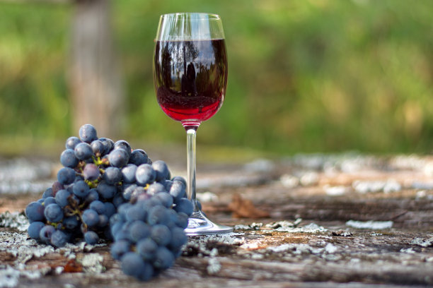 一杯酒和一串葡萄图片下载