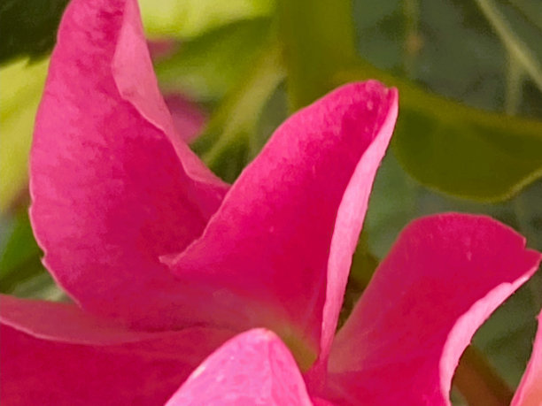 大自然自己设计的模板图片下载