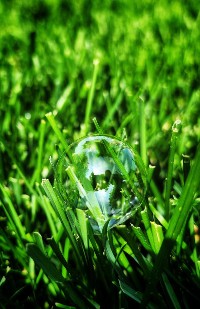 泡沫的喜悦图片下载