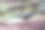 下午，孔雀在笼子里长出美丽的尾巴。图片下载