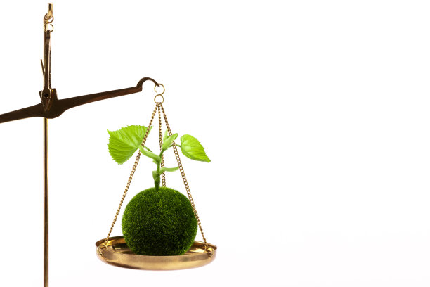 象征性的微型绿色星球和鳞片上有叶子的嫩芽图片下载