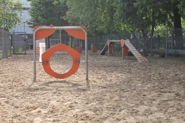 动物训练公园散步沙地。遛狗的作用是锻炼和指挥。社区辅导专用装备区。城市里的狗游乐场。积极敏捷的宠物生活方式理念图片下载