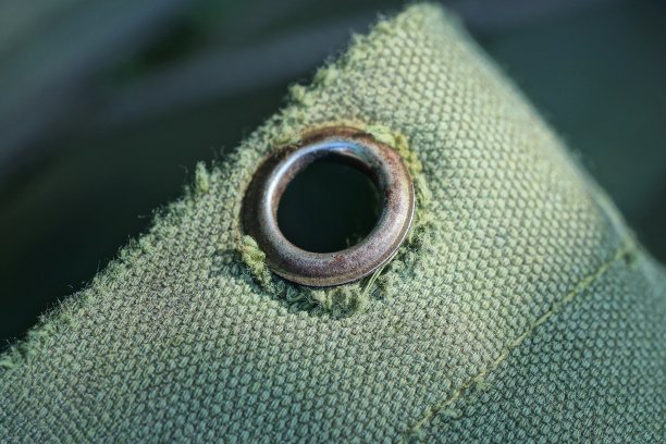 部分绿色面料的双肩包用图片下载