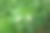 印度尼西亚村庄的库存照片图片下载