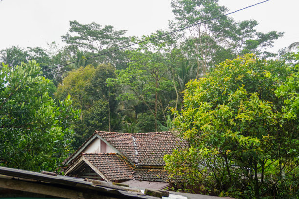 印度尼西亚村庄的库存照片图片下载