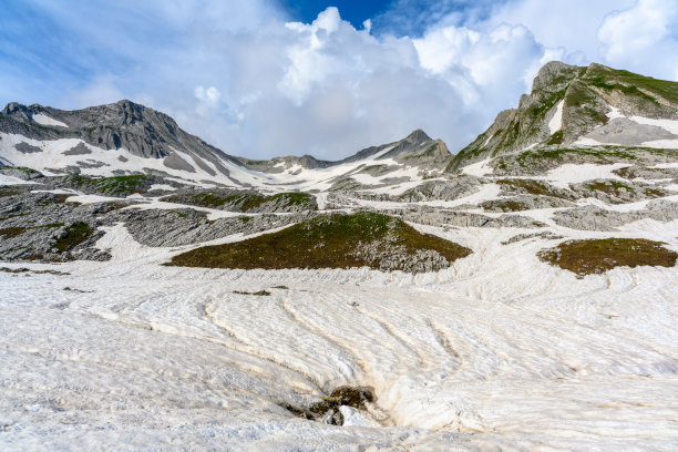 在热带森林里，山顶上的雪堆和绿草。图片下载