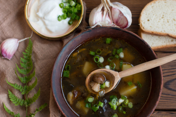 陶盘蘑菇汤，配酸奶油和葱。家里的乡村午餐图片下载