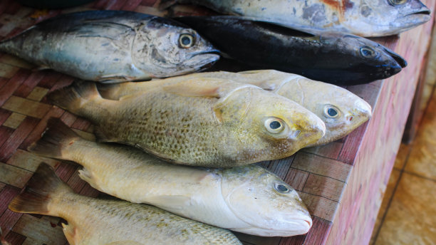 街市售卖生鱼图片下载