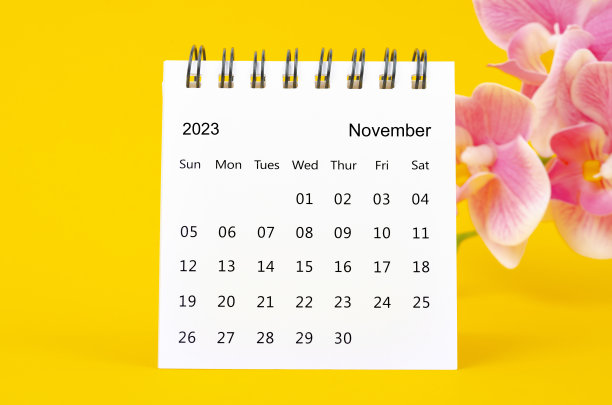 2023年11月的日历桌面和黄色背景上的粉红色兰花。图片下载