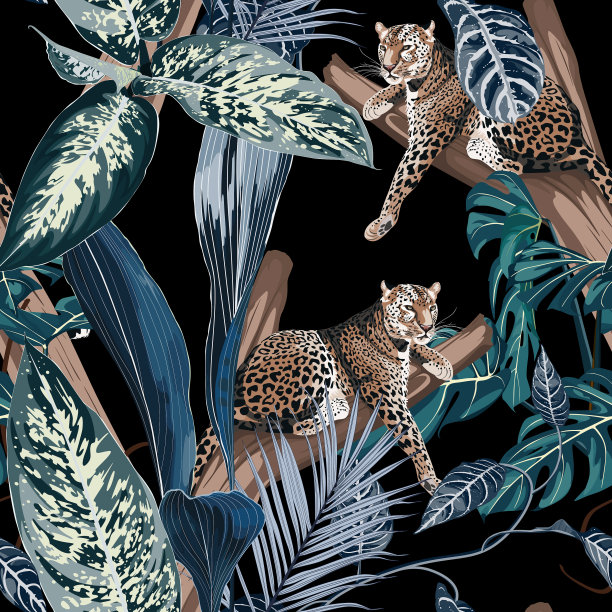 五颜六色的花型夜图案与虎豹图片下载