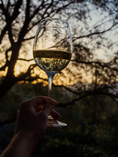 在金色的阳光下，一个女人手拿着一杯白葡萄酒的垂直特写。背景是树和山。意大利撒丁岛的夏日图片下载