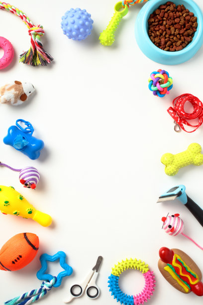 框架的宠物配件，碗干的食物，玩具在白色的背景。图片下载
