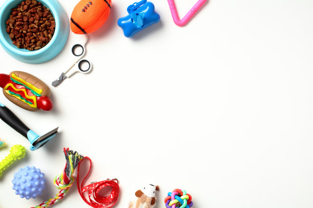 框架不同的宠物用品和配件在白色背景。平铺，俯视图，复制空间。图片下载