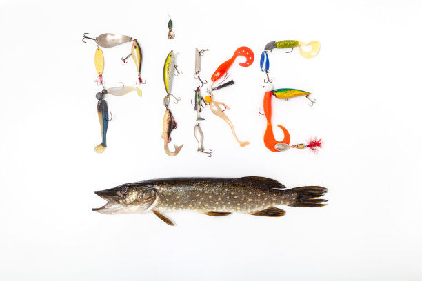 鱼竿和鱼饵躺在白色的背景上图片下载