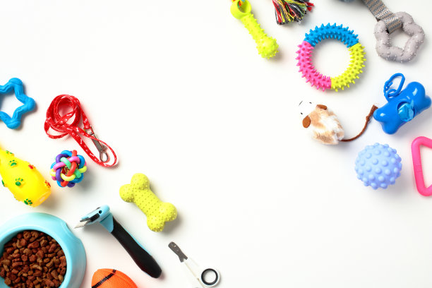 平面布局与宠物护理和训练配件在白色背景。图片下载
