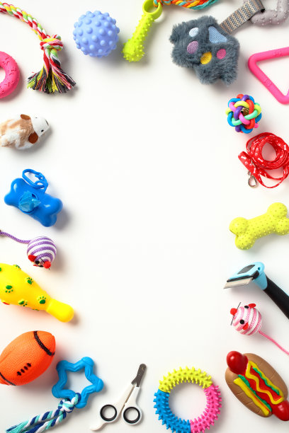 白色背景的宠物护理和训练配件框架。宠物店垂直横幅模型。图片下载