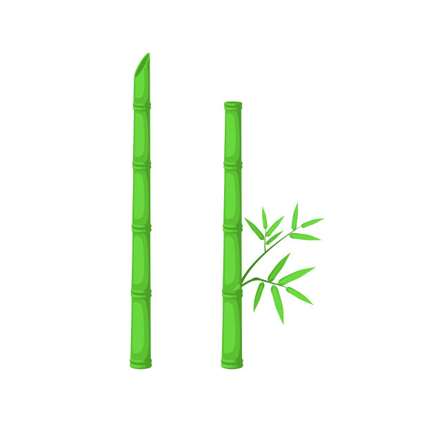 现实的竹子植物矢量设计图片下载