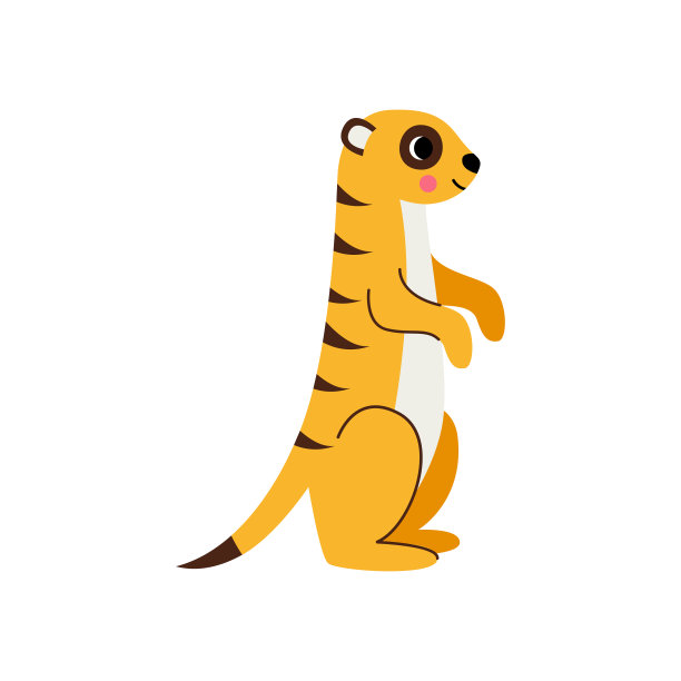 矢量图片可爱猫鼬隔离在白色背景。图片下载