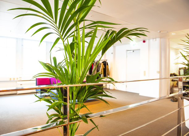 工厂在一般的办公环境图片下载