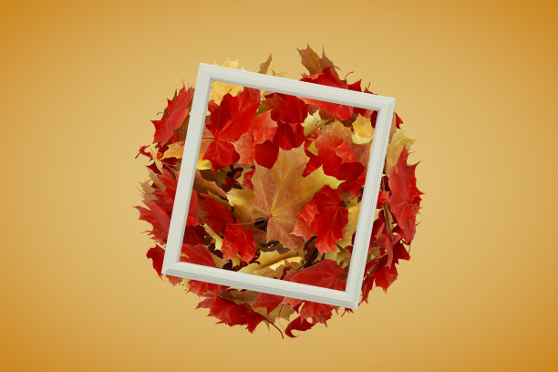 秋叶在画框里飞成圆形图片下载